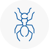 Ant Removals In Gipsy Hill