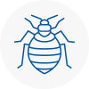 Bed Bug Extermination In Gipsy Hill