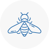 Bee Nest Removal Gipsy Hill