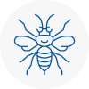 Gipsy Hill Hornet Nest Removals