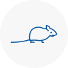 Mice Exterminators In Gipsy Hill