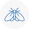 Moth Control Specialists In Gipsy Hill