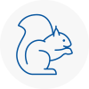 Gipsy Hill Rodent Removals